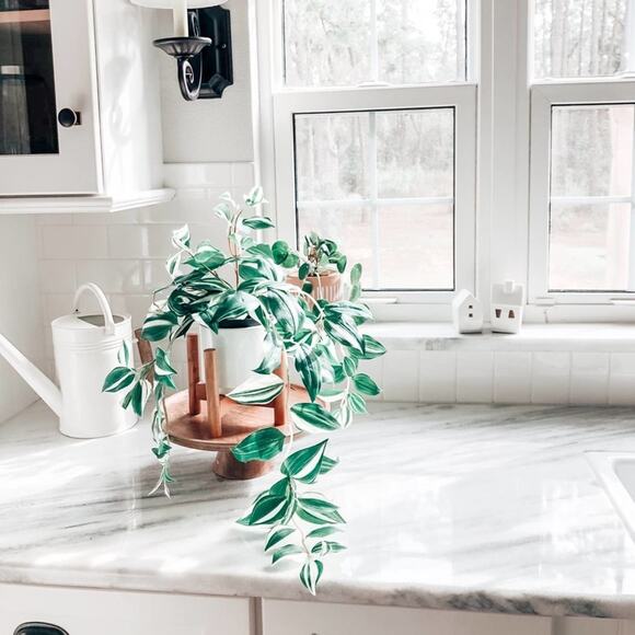 Artificial Wandering Variegated Plant minimalist Boho Decor - Picture 2 of 3